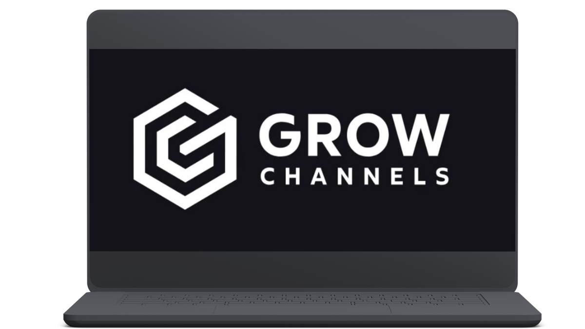 Razvan Paraschiv - Grow Channels Accelerator