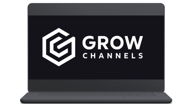 Razvan Paraschiv - Grow Channels Accelerator
